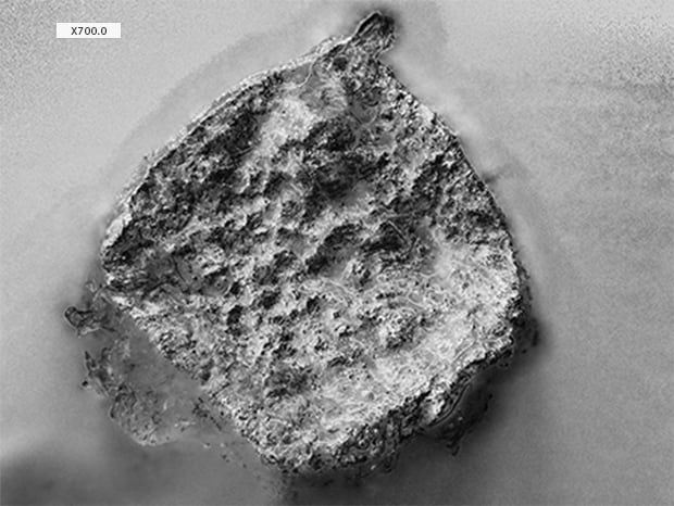 700×, ring illumination + Optical Shadow Effect Mode image Using the Optical Shadow Effect mode reveals fracture and surface irregularities.