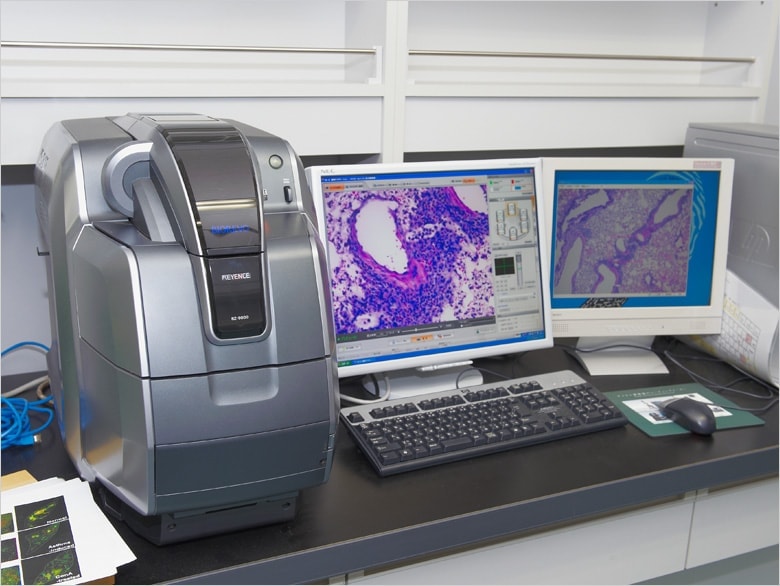 Image: KEYENCE BZ Series fluorescence microscope installed in the laboratory...