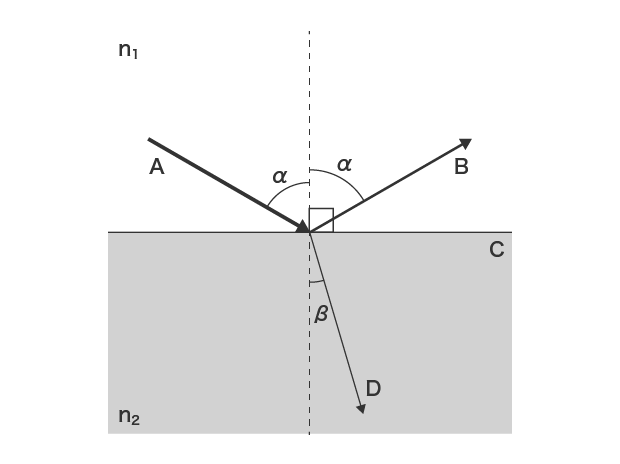 A : Incident light B : Reflected light C : Reflecting surface D : Refracted light