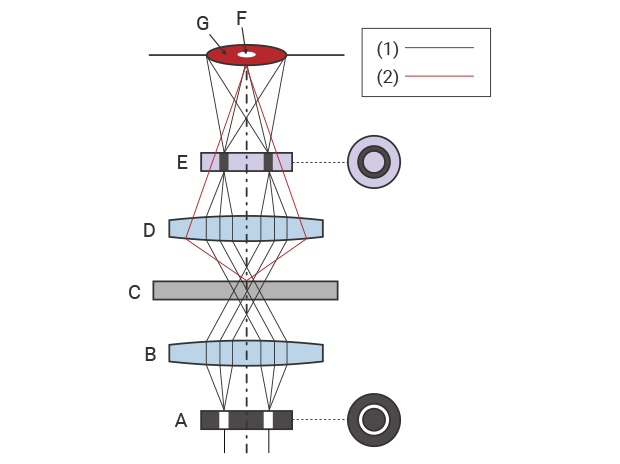 Schematic diagram of phase contrast observation