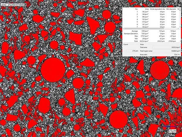 Automatic area measurement image