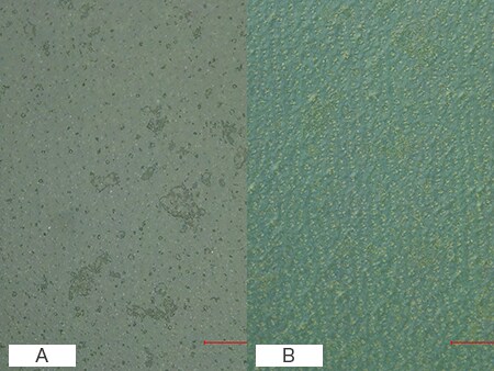 Observation And Measurement Of Coating Using A Digital Microscope ...